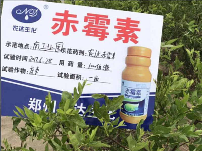 Fruit Setting Test of Nonda Gibberellin on Chinese Jujube(ͼ2)