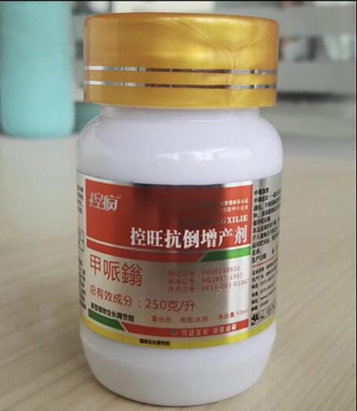 Talking about the Performance of Crazy Control in Cotton and the Key Points of Cotton Chemical Control Technology(ͼ4)