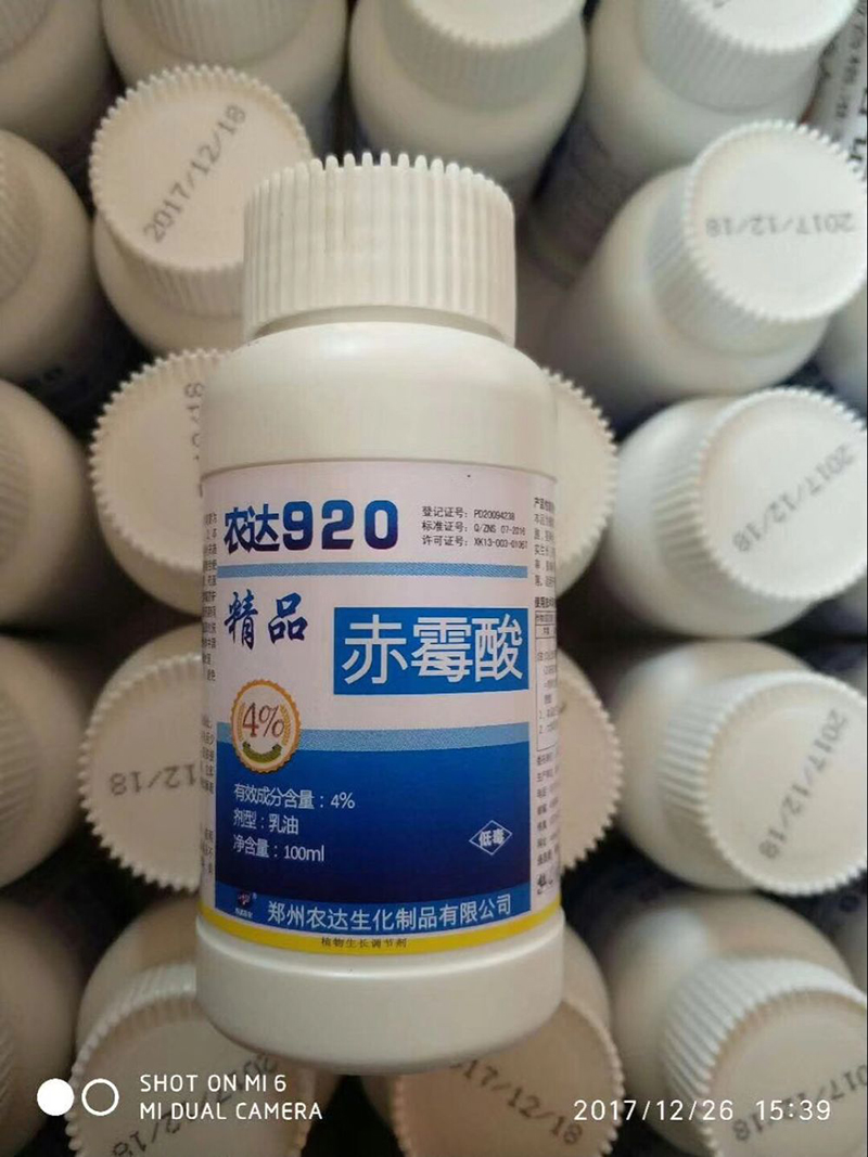 Nongda 920, different gibberellin(ͼ4)