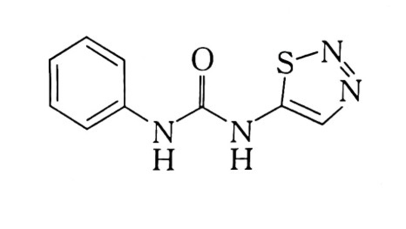 籽¡(ͼ2)