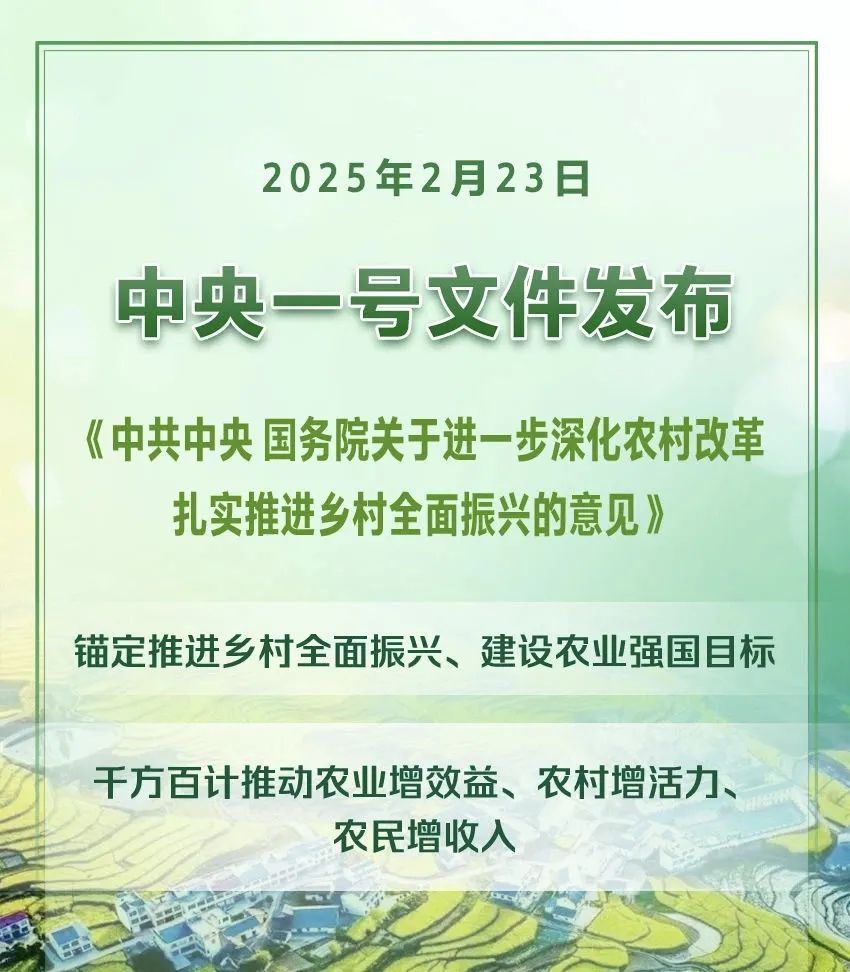 2025������һ���ļ���ȫ�ģ�(ͼ1)