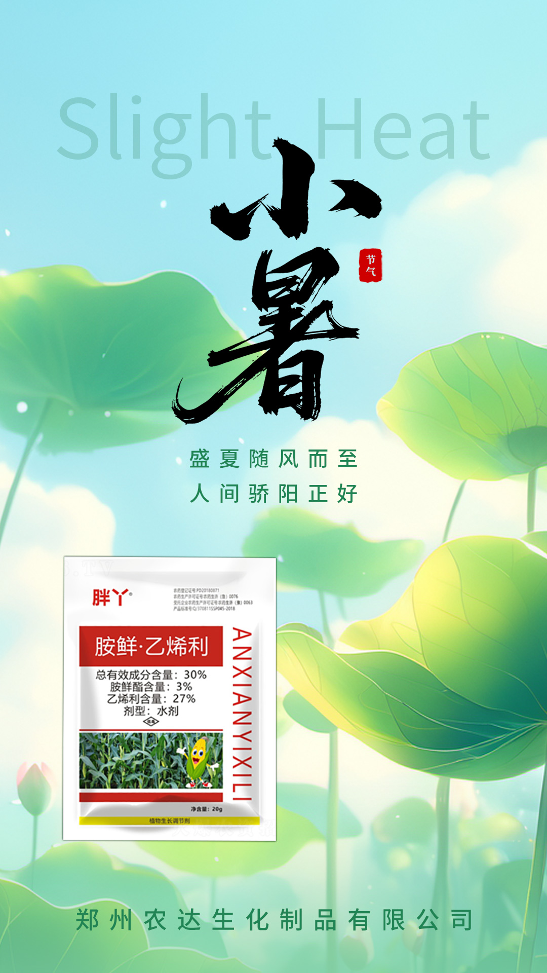 小暑(图2) 小暑(图2)