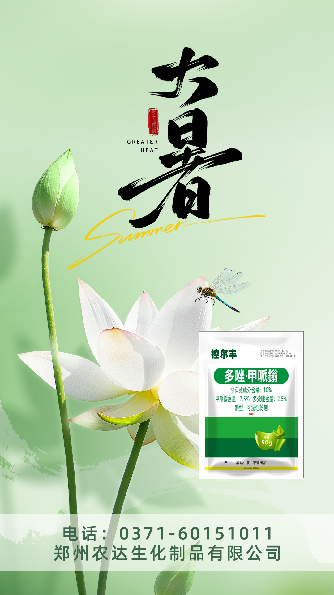 ´óÊî(ͼ8) ´óÊî(ͼ8)