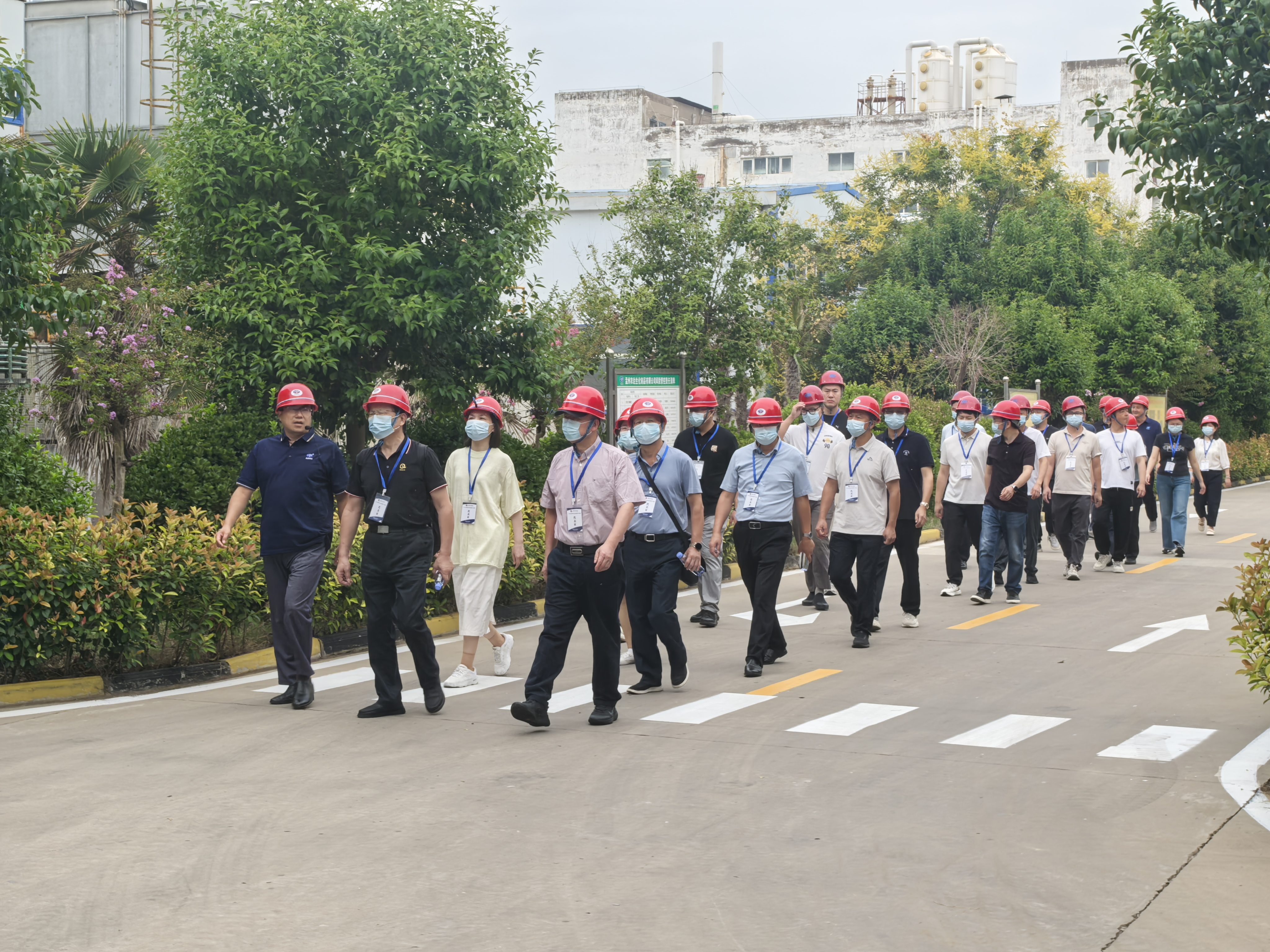 ����ʡũҩЭ��η���ݰ��Z6�����������н���(ͼ4)